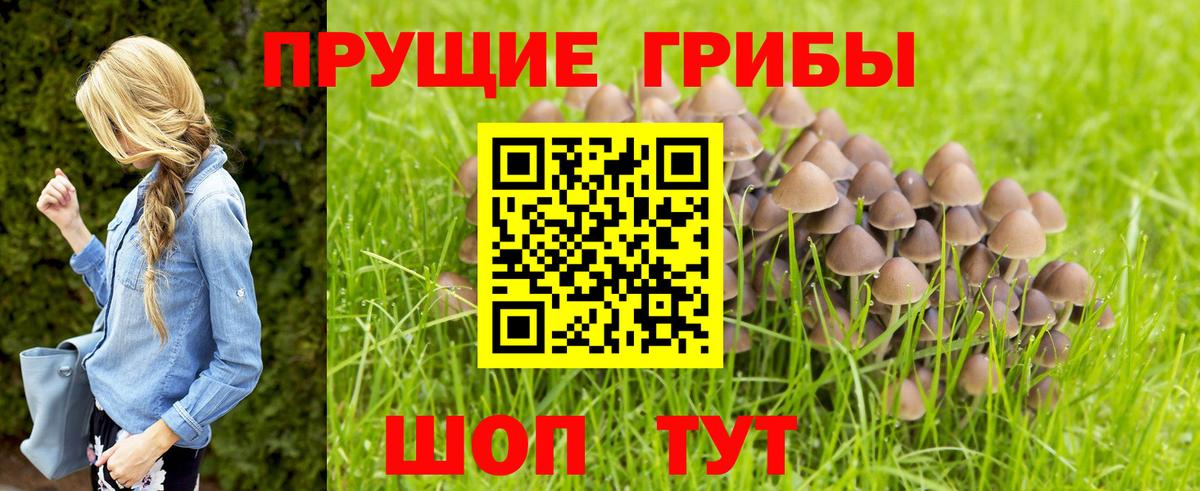 Галлюциногенные грибы мицелий Нижнеудинск
