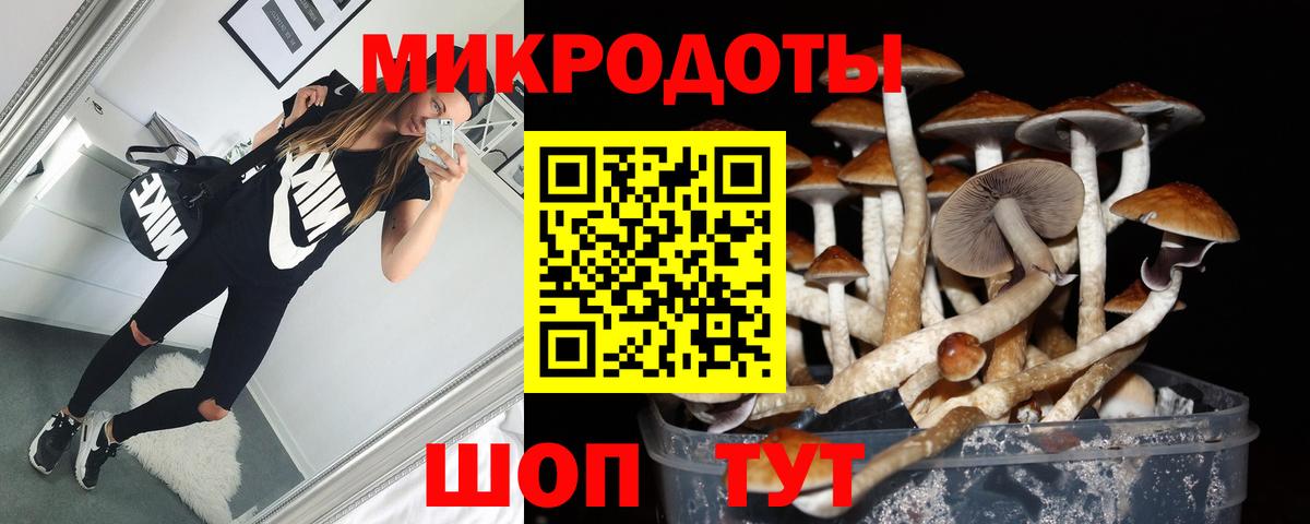 Галлюциногенные грибы Cubensis  Вход с VPN  Нижнеудинск 